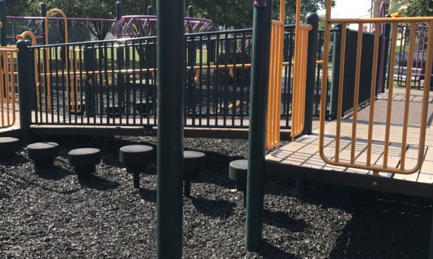 Leaps And Bounds Playground Needs Help