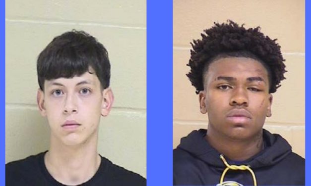 Ellerbee Woods Neighbors Thwart Burglaries (South Shreveport)