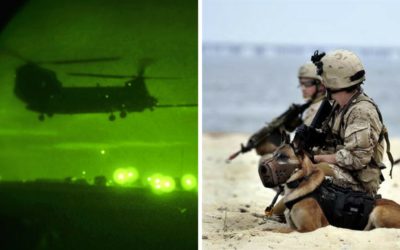 New Book Tells Story Of Fallen Navy SEALs From Shreveport